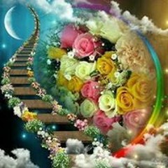 Shaza Wael