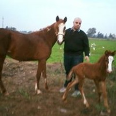 Maged Elashry