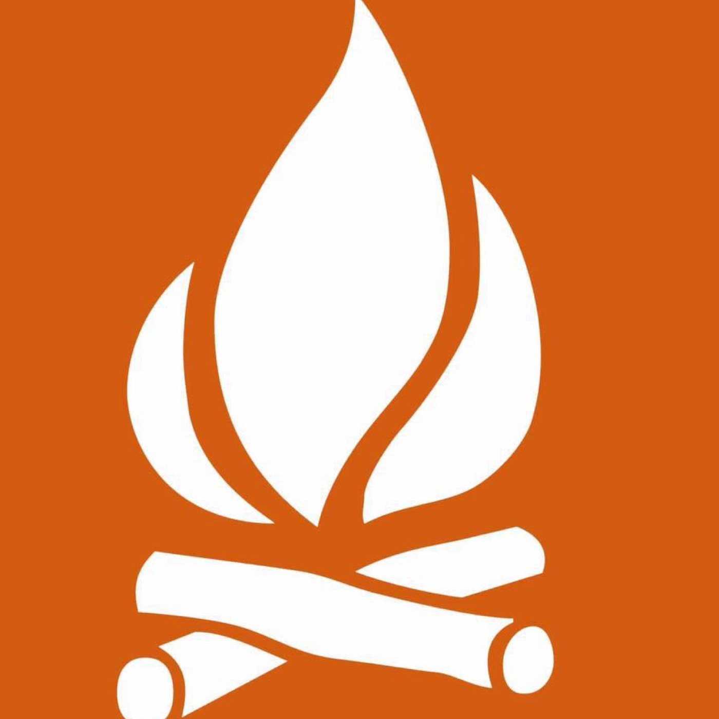 The Bonfire Group cover art