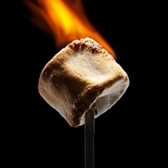 Toastedmarshmello