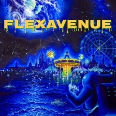 FLEXAVENUE.fbn