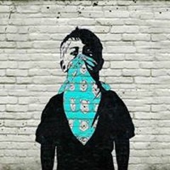 Báo