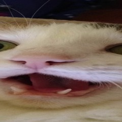 TheMoldyToast