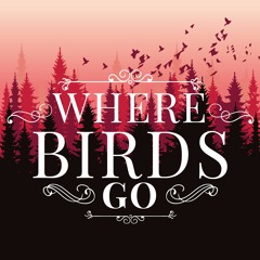 Where Birds Go