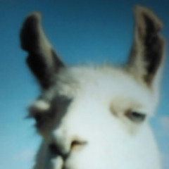 gxbdtbfgnbf