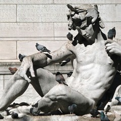 pigeon•zoo