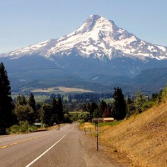 Mashed Potatoes Gang