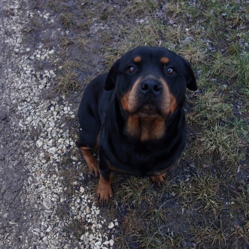 06 Kellemes bé!smith