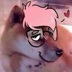 DigitalDoggo