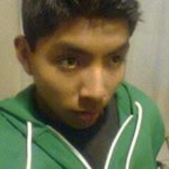 Bruno Apaza Apaza