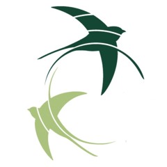 Fondation Hirondelle RDC