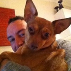 Bradley Rothenberg