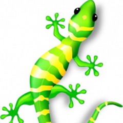 Improved Gecko
