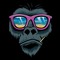 piremsesmonkey