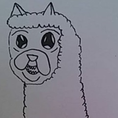 Alpaca Bulldog