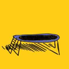 THE TRAMPOLINE