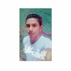 Elmassry Hassan Mohamed
