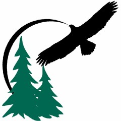 Eagle Fern Camp Podcasts