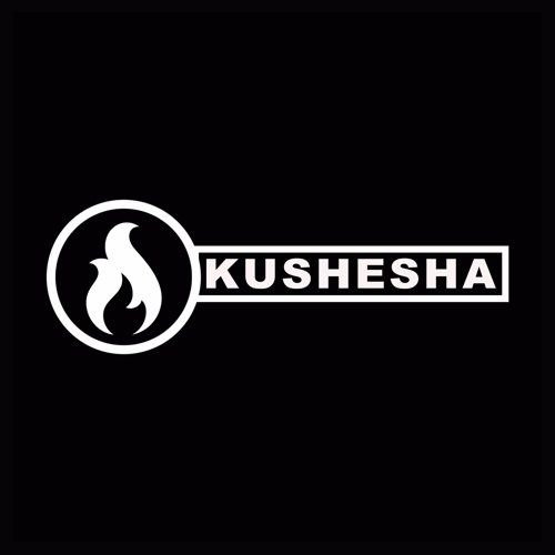 Kushesha Studios’s avatar