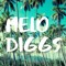 MeloDiggs