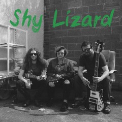 Shy Lizard