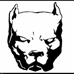 terror_pitbull