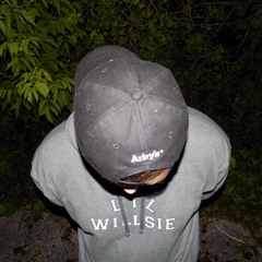 Lil Willsie