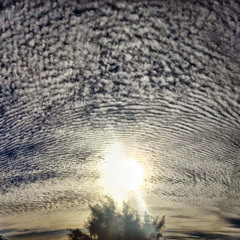 Chemtrails Tucson