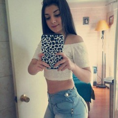 Lesli Palomino Soler