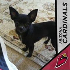 Dolores Denise Castro