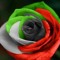 user453047039
