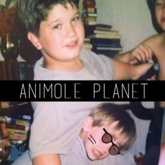 AniMOLE Planet
