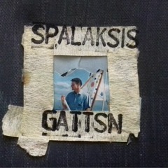 Spalaksis Gattsn