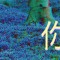 lkcii