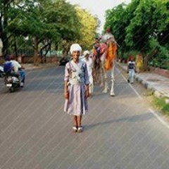 ਨਿਹੰਗ ਹਰਪ੍ਰੀਤ ਸਿੰਘ