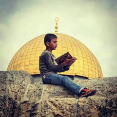 TaReK Abo hamza