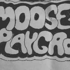 Moose Playground