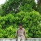 faran