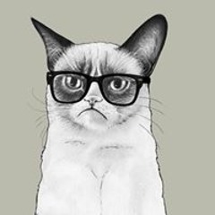 Котэ Мурзиков