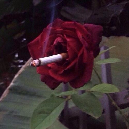 SoundCloud profile picture for @stripping