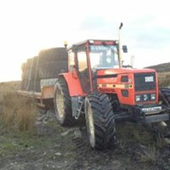 Oran Mc Laughlin Hawker