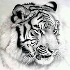 artur