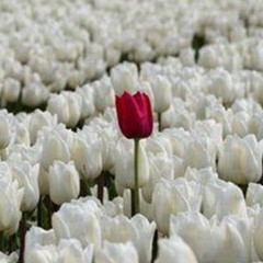 New private playlist