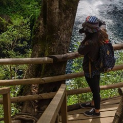 Camila Oyarzún Toledo