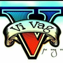 ViVag