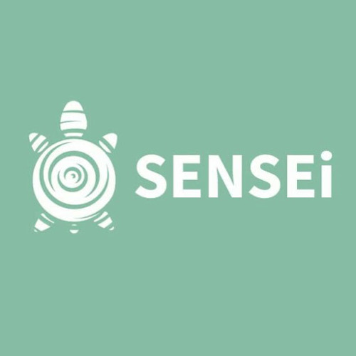 SENSEi India’s avatar