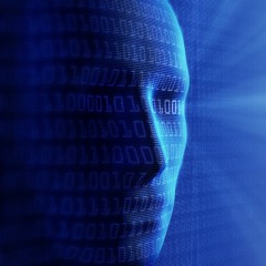 Vortex Predictive Solutions