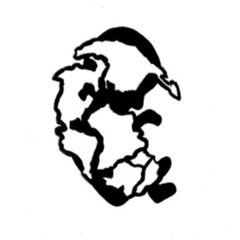 New Pangea