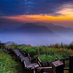 Oliver James Vine-Ford