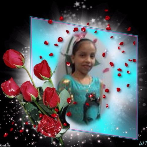 نورهان محسن’s avatar
